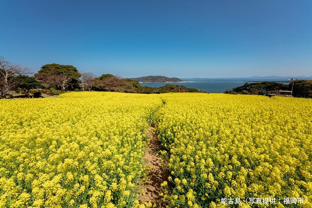 福岡県福岡市（天神エリア）ANAトラベラーズホテル割引クーポン（3,000点分）