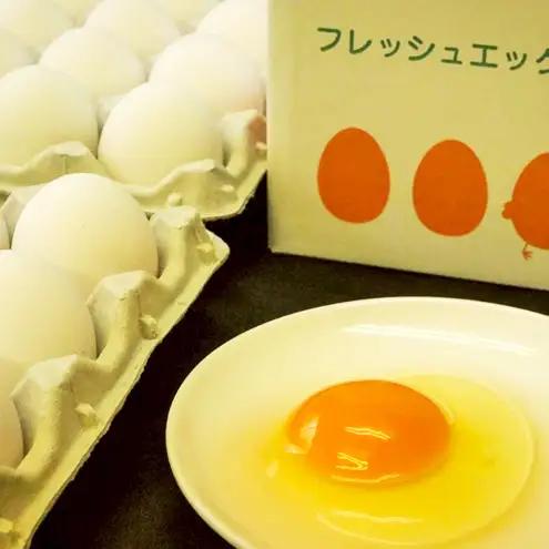農場直送！吾妻十二ヶ原の卵（50個） 鶏卵 たまご タマゴ 卵 安心 こだわり 食卓 堀田養鶏場 群馬県 東吾妻町