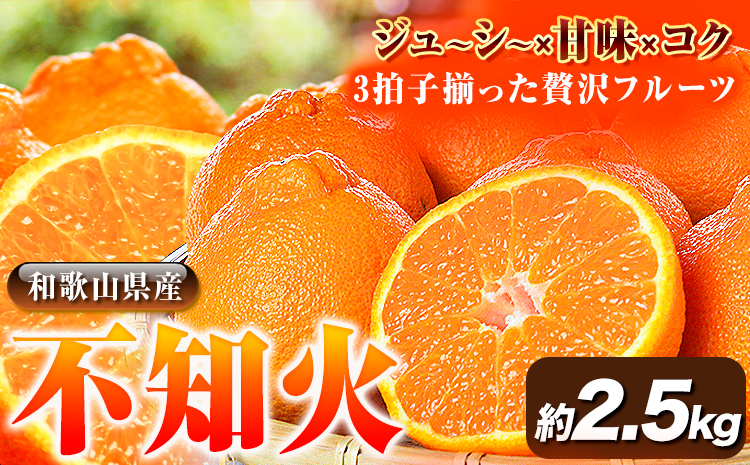 【先行予約】紀州有田産不知火( デコポン と同品種 ) 内容量 約 2.5kg 株式会社魚鶴商店《2027年2月中旬-3月中頃より出荷予定》 和歌山県 日高町 不知火 しらぬい 柑橘 ご家庭用 デコポン でこぽん しらぬい 訳ありデコポン---wsh_uot116_2c3c_25_10000_25---