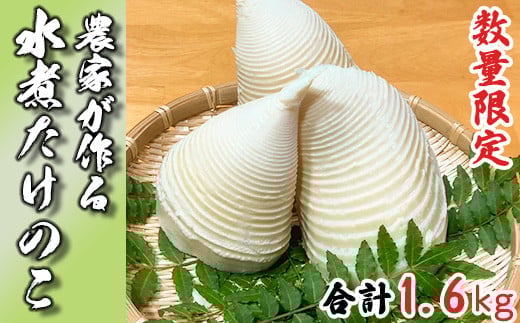 【手軽に使える】生産農家が作る！水煮たけのこ 1.6kg 令和7年産 産地直送 無添加 若手農家 応援 小分け 惣菜 筍 タケノコ 和食
