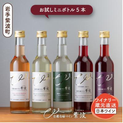 ふるさと納税 紫波町 【自園自醸ワイン紫波】ワインミニボトル飲み比べ5本セット