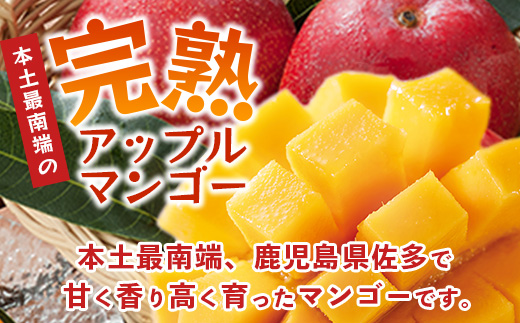 ≪マンゴー≫【訳あり】 ☆本土最南端☆佐多の果樹園で育てた 完熟アップルマンゴー1kg (2～3玉) 家庭用｜鹿児島県 南大隅 産地直送 旬 マンゴー フルーツ 果物 くだもの V7409