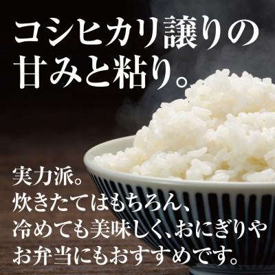 ふるさと納税 西脇市 兵庫県産【ヒノヒカリ】令和7年産・ 白米 10kg (10kg×1袋) |  | 01