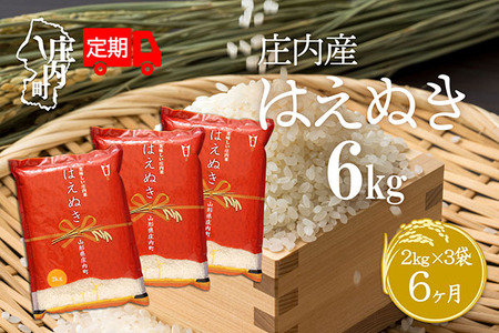 ＜11月中旬発送＞庄内米6か月定期便！はえぬき 6kg（入金期限：2025.10.25）