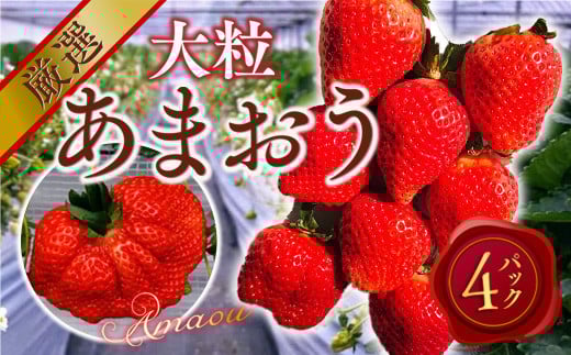 
            【期間限定発送】 いちご あまおう 厳選大粒 4p [THE FARM_strawberry 福岡県 宇美町 um40azo780007] イチゴ 苺 大粒 フルーツ 果実 甘い 小分け
          
