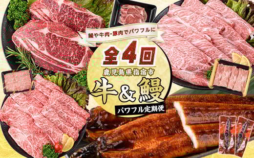 【全４回定期便】鹿児島自慢牛・うなぎパワフル便(水迫畜産/Z050-1774) 国産 鰻 鹿児島 蒲焼 豚肉 肉 黒豚 和牛 うなぎ蒲焼 鰻蒲焼 頒布会 定期 指宿 しゃぶしゃぶ すき焼き ステーキ 国産牛 鹿児島県産 牛 豚 ロース