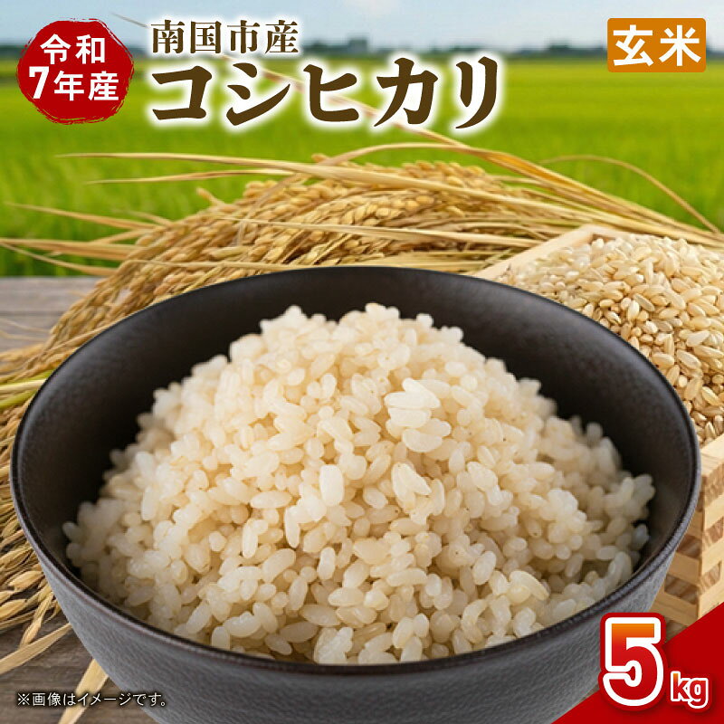 【ふるさと納税】 令和7年度 南国市産 コシヒカリ 玄米 5kg 新米 期間限定 数量限定 米 コメ お米 ご飯 おにぎり こめ 弁当 高知県 南国市