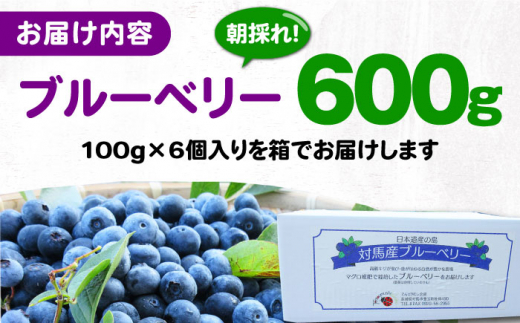 【先行予約】対馬産 朝採れ 大粒 ブルーベリー ( 青果 ) 600g 《対馬市》【さほの里ファーム】 フルーツ 果物 生食 新鮮 朝食 冷蔵 [WBG006]