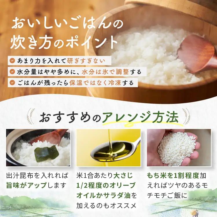 【栃木県共通返礼品】令和7年度産 栃木県産 ブレンド米 20kg
