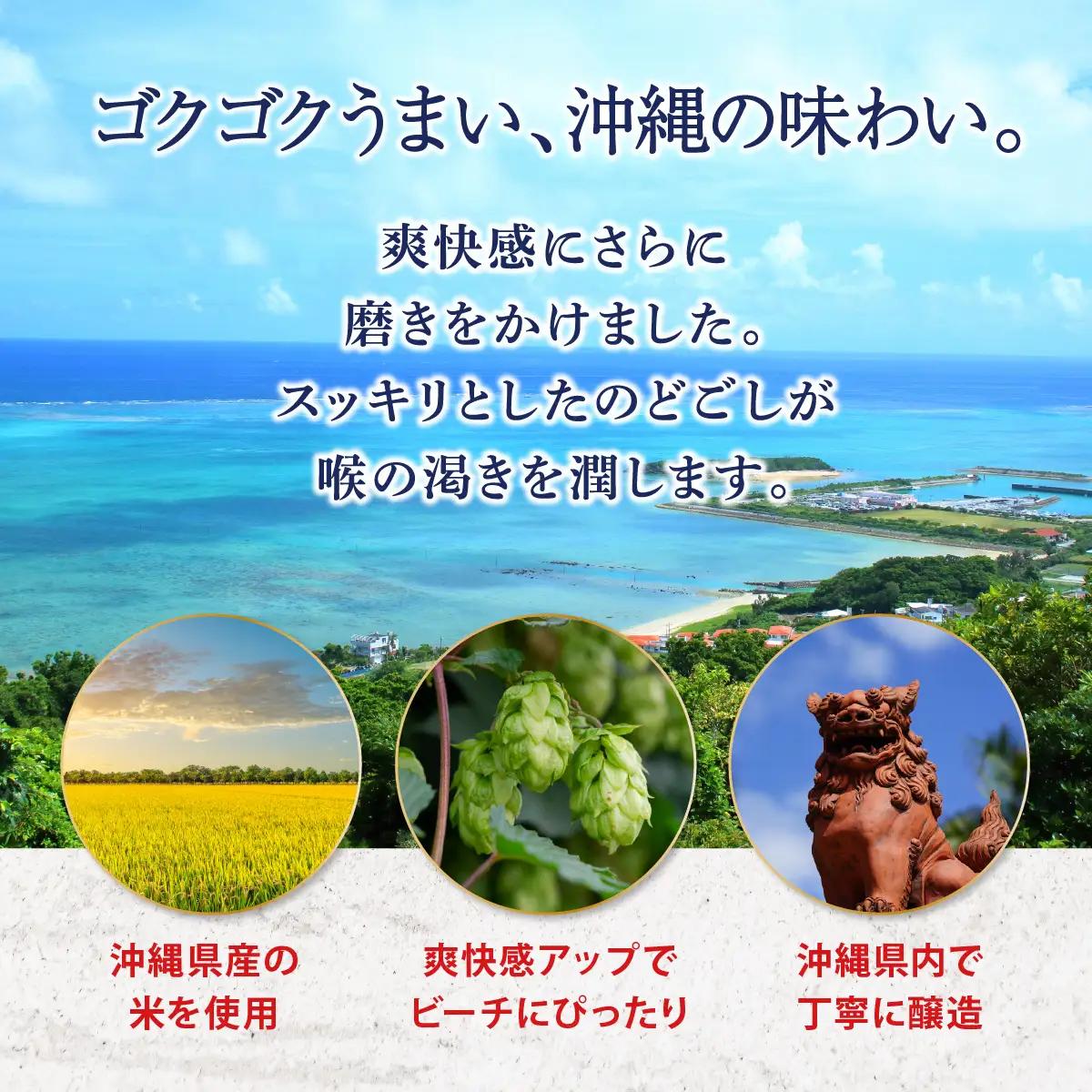 最短3日以内発送！オリオンサザンスター(350ml缶×24本)