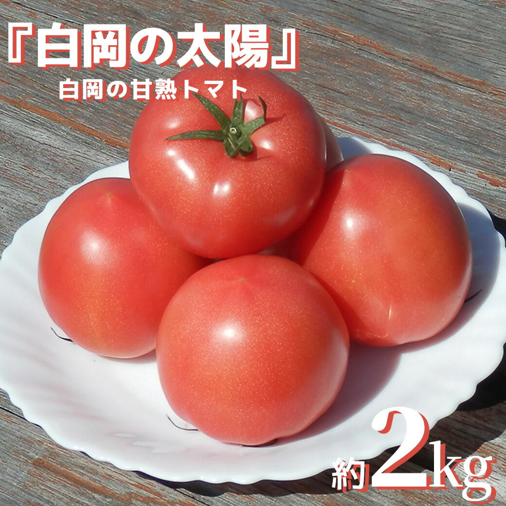 【ふるさと納税】甘熟トマト『白岡の太陽』約2kg　【11246-0125】
