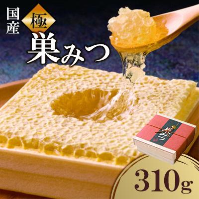 ふるさと納税 八女市 国産　極巣みつ　310g