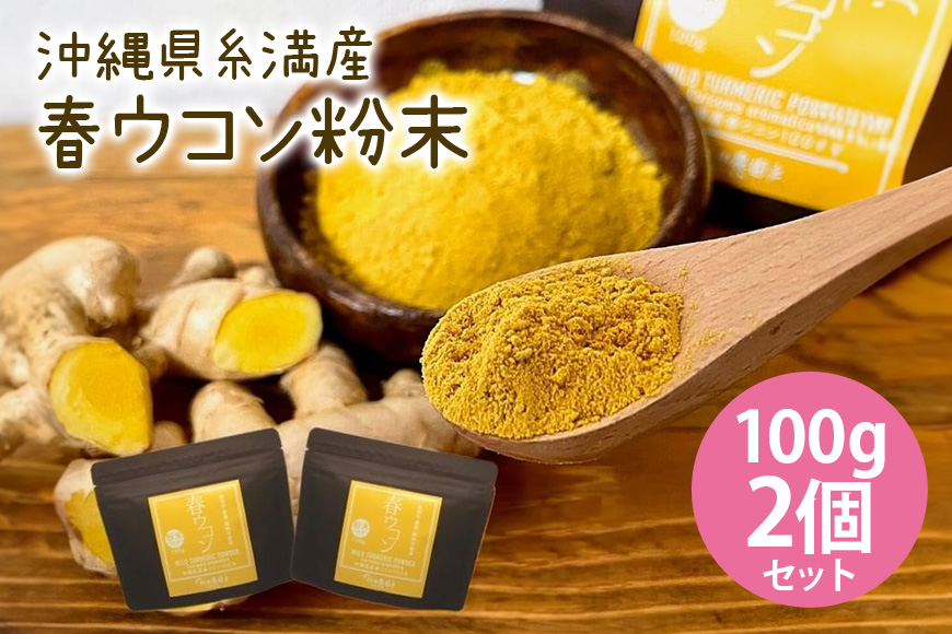 沖縄県糸満産 春ウコン粉末100g 2個セット 116-1