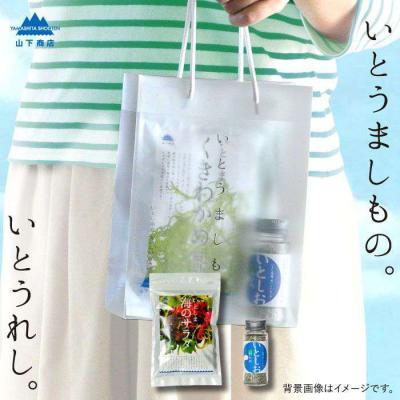 ふるさと納税 糸島市 糸島の乾物 海藻 いとうましもの ( 手さげ袋 D) [ANA019]