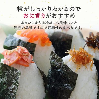 ふるさと納税 能代市 新米 定期便9ヶ月 玄米 あきたこまち 杜の雫 5kg×9回[No.5335-1513] |  | 03