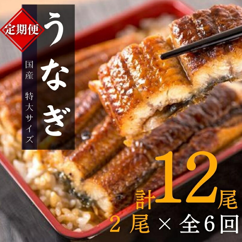 【ふるさと納税】【全6回定期便】大型サイズ ふっくら柔らか 国産うなぎ蒲焼き 2尾×6回 計12尾 約2040g / 定期便 うなぎ 鰻 蒲焼 冷凍 ※離島への配送不可 //fish