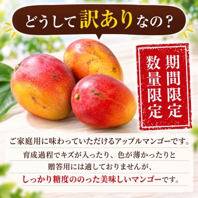 【2027年6月下旬から順次発送・家庭用】JAおきなわ厳選 完熟アップルマンゴー2kg(3～7玉)【配送不可地域：離島】