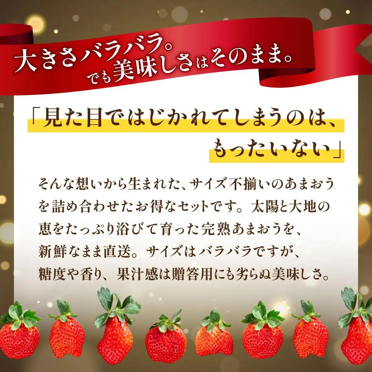 いちご 福岡県産 特別栽培 あまおう サイズいろいろMIX 約1425g（約285g×5パック）【12月発送】