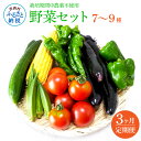 【ふるさと納税】先行予約 野菜セット（7‐9種類） 《3カ月定期便》 栽培期間中農薬不使用！ 季節の野菜 定期コース 定期 無農薬 野菜 やさい 新鮮 自然 健康 セット 詰め合わせ 冷蔵 美味しい おいしい 食べ物 食材 秋 旬の味覚 ご当地 お取り寄せ 芸西村 故郷納税 返礼品