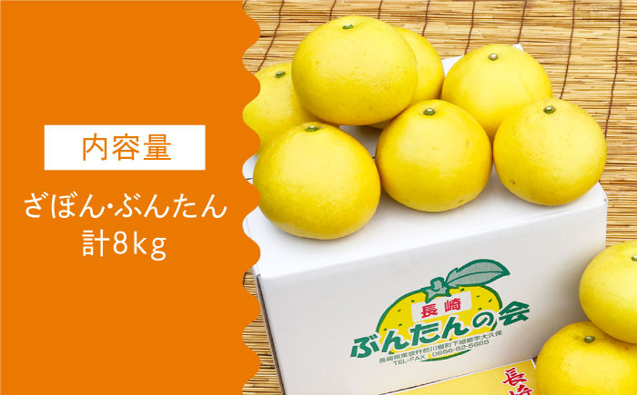 【数量限定】長崎ざぼん&ぶんたん セット 約8kg【長崎ぶんたんの会 】[OAF008] / ミカン 柑橘 果物  フルーツ かんきつ ザボン ブンタン 朱欒 文旦 食べ比べ 柑橘類 セット 詰め合わ