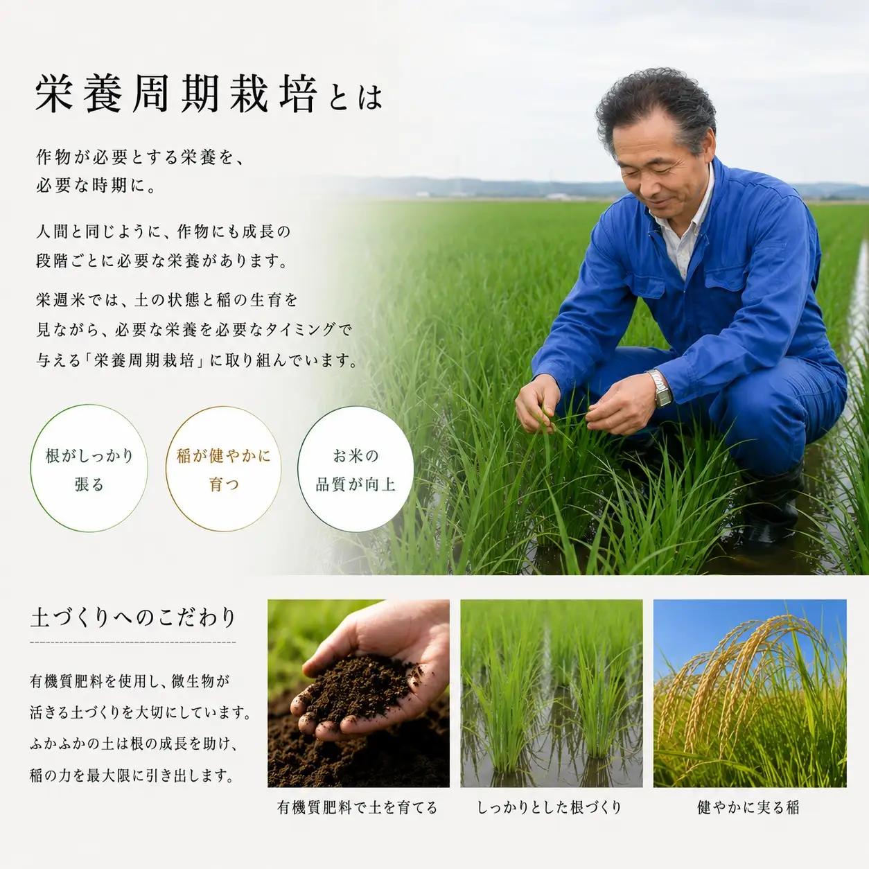 令和８年産 栄週米 ササニシキ（精米） 10kg（5kg×2）※10月上旬より順次発送予定 【isff008】