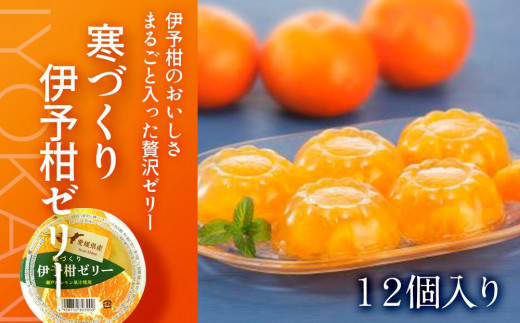 伊予柑 ゼリー 12個 セット | ゼリー ぜりー 柑橘ゼリー みかん いよかん イヨカン 柑橘 みかんゼリー 果物 スイーツ いよかん 伊予柑 愛媛県 松山市