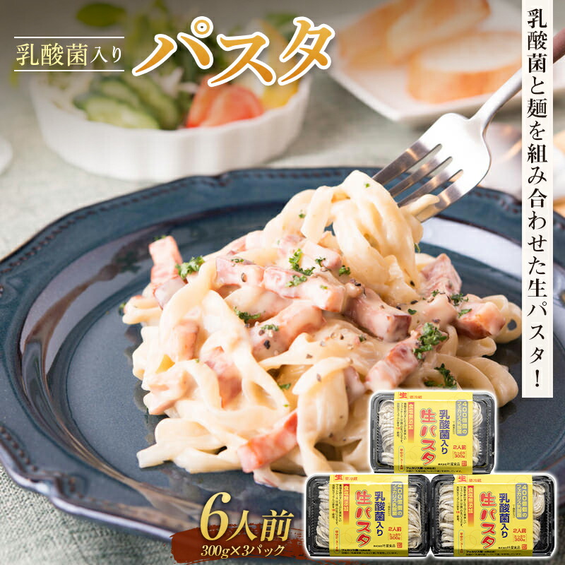 乳酸菌入りパスタ6人前 麺 パスタ フェットチーネ 平麺 生パスタ  F4H-0198