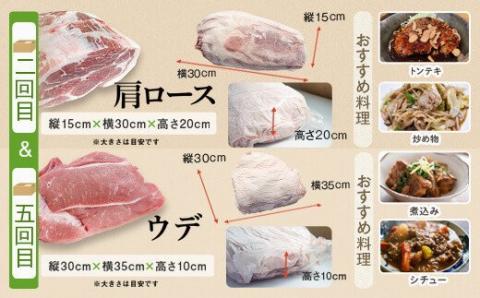 鹿児島県産豚1頭ブロックセット(6回送付定期便）