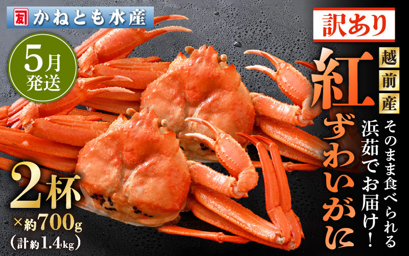 
                  【訳あり】≪浜茹で≫越前産 紅ずわいがに 約700g × 2杯 食べ方しおり付【紅ズワイガニ カニ かに 蟹 姿 ボイル 冷蔵 福井県】【5月発送分】 [e14-x025_05]
                