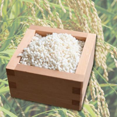 ふるさと納税 京丹波町 京都府丹波波町産 もち米 6kg(3kg×2袋) 新羽二重糯 便利な小分け 国産 |  | 02