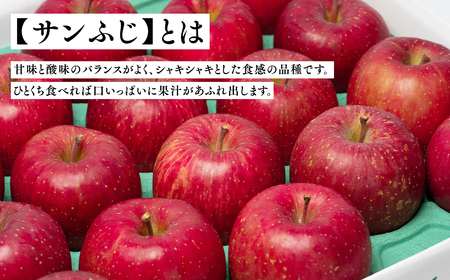 りんご 贈答用 サンふじ 約5kg 12月発送 青森県平川市産[hi-0004-008]