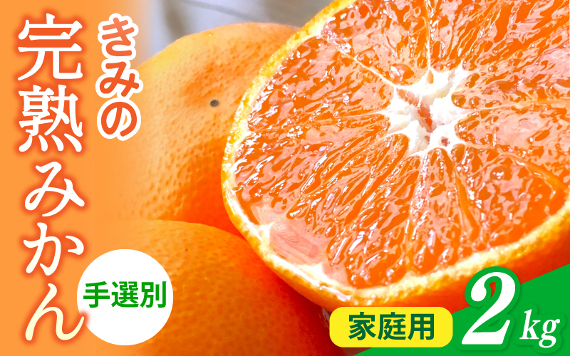 あま～い！ カツオの有機肥料が味の決め手！ 「きみの完熟ミカン」 約2kg (15~25個程度) サイズ混合 2S~L ご家庭用(秀優混合) 紀美野町産 /みかん ミカン 柑橘 和歌山県 有機 手選別 【kmf004-c-2】