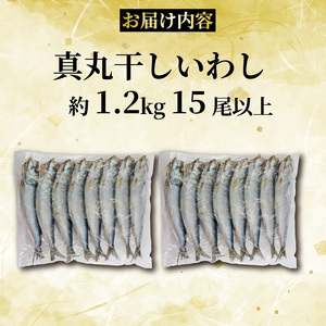 いわしの丸干し  約 1.2kg   イワシ