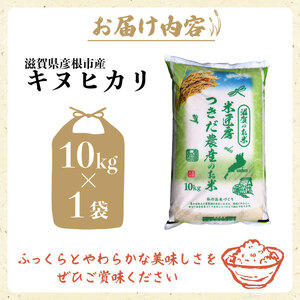 令和7年産 キヌヒカリ 白米 10kg 新米