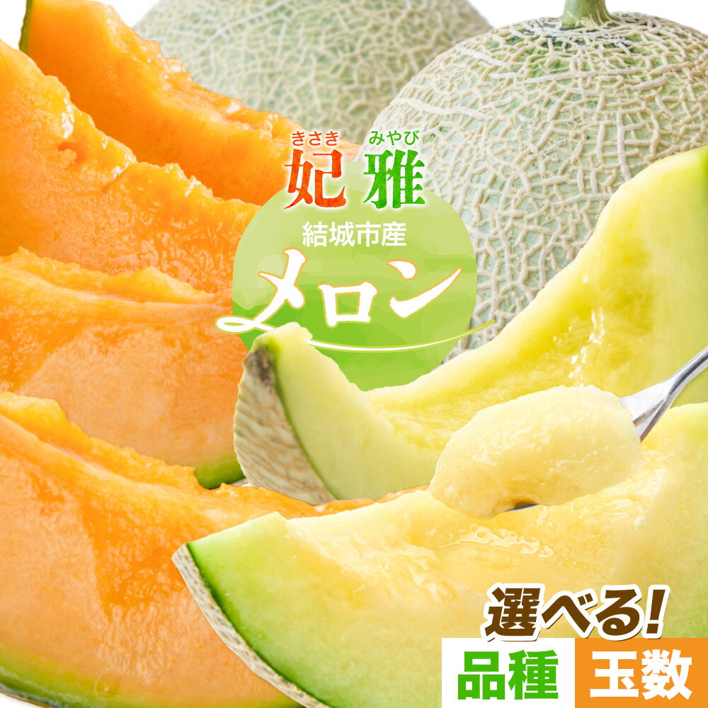 【ふるさと納税】【令和7年先行予約】 茨城県結城市産 メロン 選べる内容量 食べ比べ セット 妃 雅 2玉 1玉 稲葉ファーム《9月下旬-10月中旬頃出荷予定》茨城県 結城市 送料無料 フルーツ 果物 高級メロン お取り寄せ 旬 産地直送 贈り物 お取り寄せフルーツ