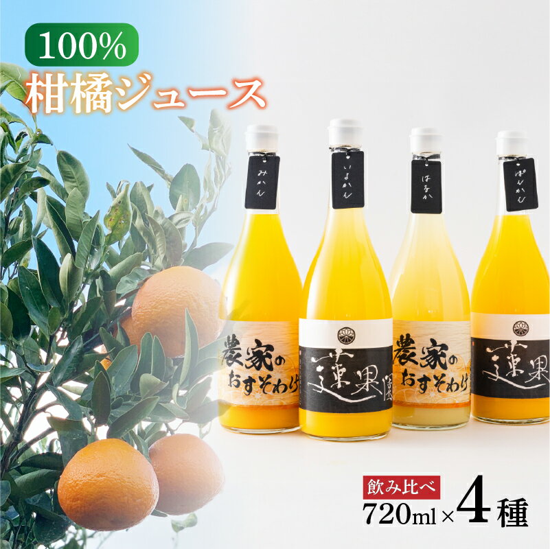 【ふるさと納税】 100％柑橘ジュース 飲み比べ4本セット 段ボール箱入り | 果物 くだもの フルーツ おすすめ 人気 お取り寄せ ジュース ギフト 蓮果園 愛媛県 松山市