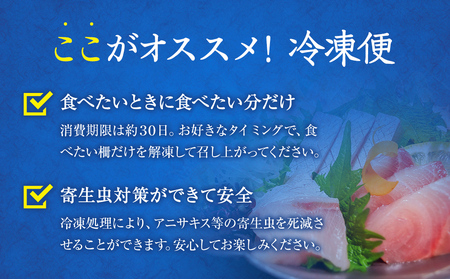 【偶数月 全6回 定期便】氷見漁港で競り落としたお刺身詰め合わせセット 〈冷凍〉　| 　刺身セット 鮮魚 詰め合わせ 富山湾 海の幸 魚介類 お魚 刺し身 さしみ 氷見漁港 柵 冷凍 瞬間凍結 隔月 