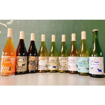 ふるさと納税 上富良野町 【毎月定期便】野生酵母ワイン 多田ワイナリー【月3本お届け】全3回