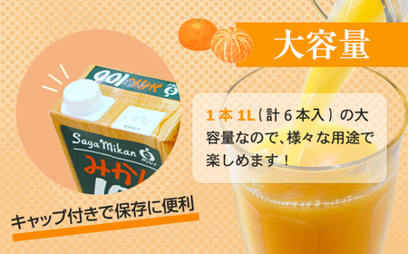 佐賀県産みかん使用 みかん100（ 紙パック 1L×6本）B110-044 温州みかん 天然 果汁100% ビタミンC 酸味 甘み みかん ジュース 佐賀県 小城市