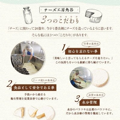 2023年7月発送開始『定期便』角谷 カマンベールチーズセット【125g×4個】全3回【配送不可地域：離島】