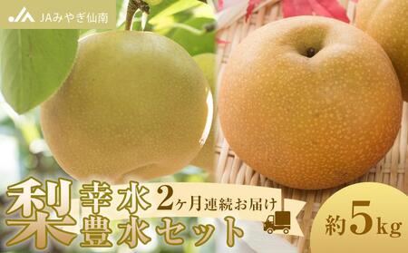 【JAみやぎ仙南】梨「幸水」「豊水」セット 約5kg　2ヶ月連続お届け【旬のフルーツ 角田のなし くだもの 果物 旬のなし 新鮮梨 梨 幸水なし 豊水なし】