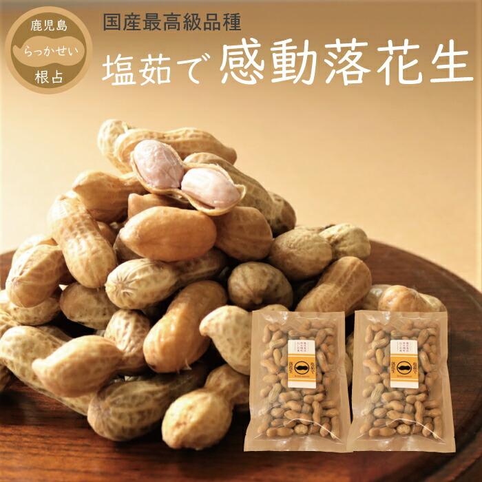 【ふるさと納税】先行予約 国産 塩茹で落花生 300 g × 2 パック 2025年9月下旬より順次発送 | 野菜 やさい 食品 人気 おすすめ 送料無料