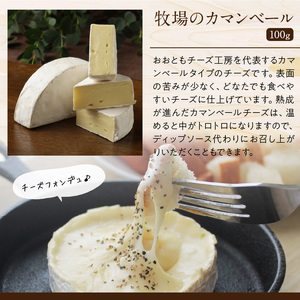 【10日以内発送】牧場直送で安心♪人気のバラエティチーズセット チーズ 国産 おやつ 食べ比べ 食品 ナチュラルチーズ 詰め合わせ レクタン キャラウェイ ミモレット カチョカバロ 牧場のカマンベール