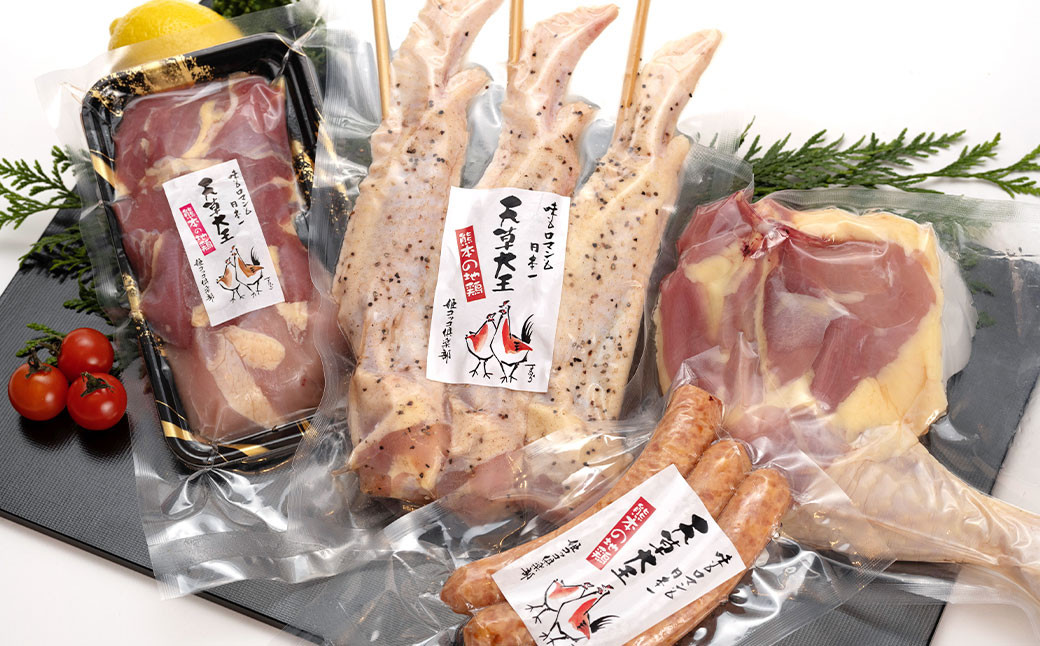 
【アウトドアセット】 天草大王 幻の鶏 キャンプ BBQ 骨付きもも肉 (500g) 大手羽先 ソーセージ ブツ切りミックス 計約 1.1kg
