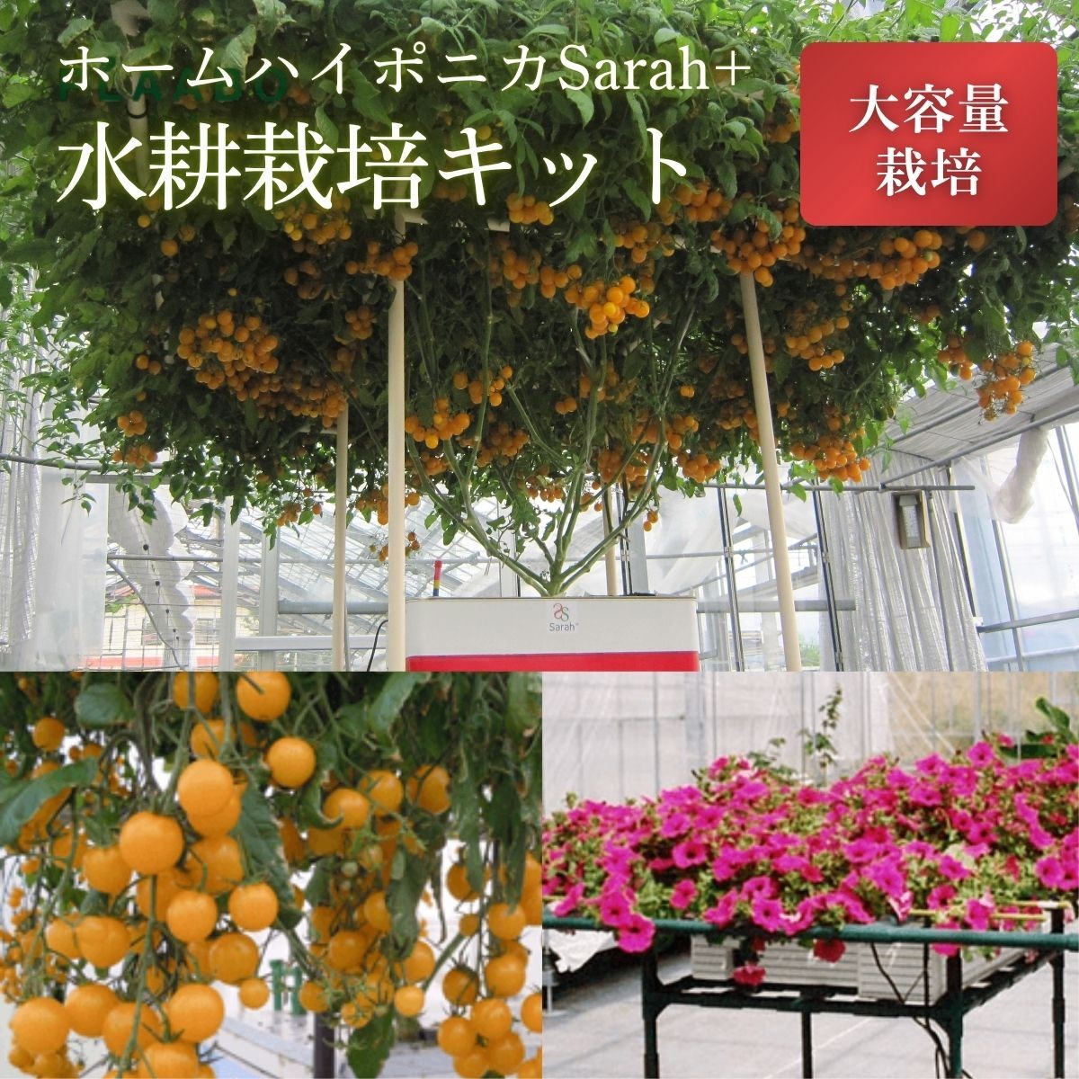 
                  ホームハイポニカSarah+（R）〈本格水耕栽培キット〉大容量35L 自動給水対応 家庭菜園 野菜栽培 植物栽培 室内栽培 兵庫県丹波篠山市
                