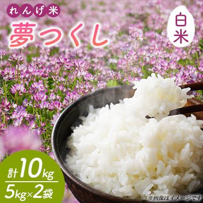 ふるさと納税 嘉麻市 【令和7年産】れんげ米 夢つくし(白米) 計10kg(5kg×2袋)〜はたなかFarm〜