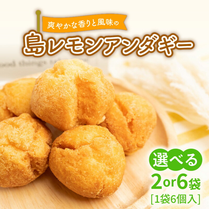 【ふるさと納税】＜選べる＞ 爽やかな香りと風味の 島レモン アンダギー 6個入 × 2袋 or 6袋 サーターアンダギー ドーナツ ドーナッツ レモン お菓子 菓子 おやつ デザート スイーツ ヘルシー 沖永良部 島の恵み工房 鹿児島 和泊町 おすすめ ランキング プレゼント ギフト