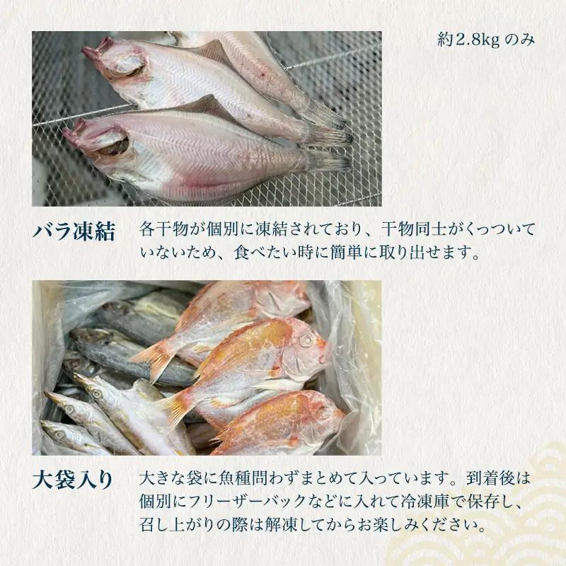 【ふるなびWEEK対象】 【訳あり】 干物 約2.8kg 詰め合わせ 干物