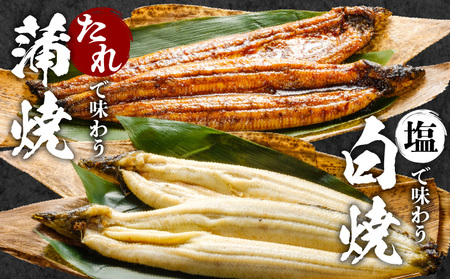 うなぎ 国産 蒲焼・白焼き 各2尾 うなぎ