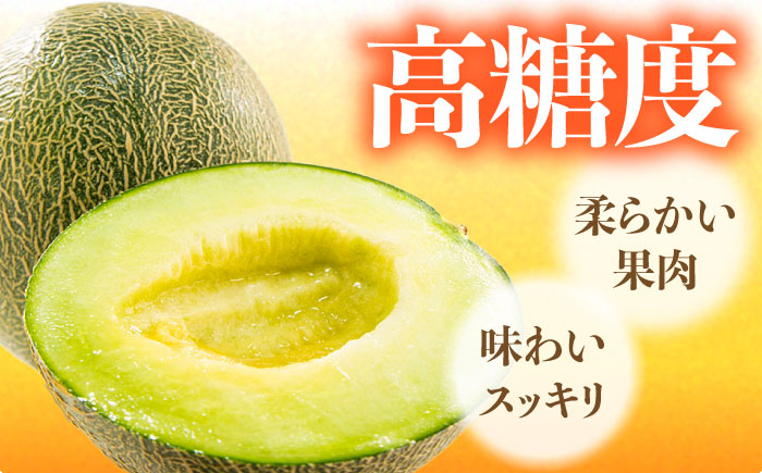 【2026年6月中旬～発送】肥後 グリーンメロン 大玉 2玉 (合計4kg以上) / フルーツ 果物 / 南島原市 / 長崎県農産品流通合同会社 [SCB063]